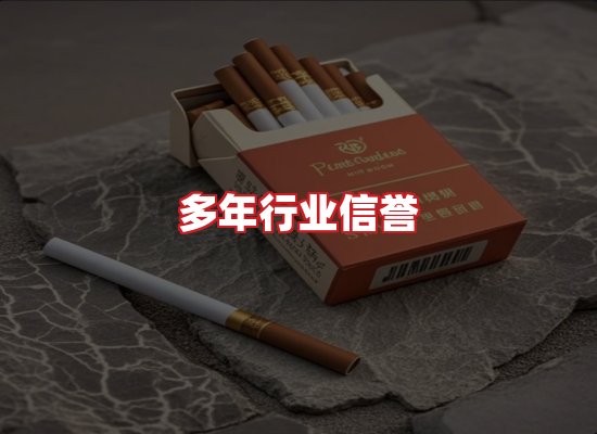 专业团队